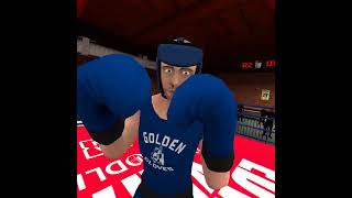 my first golden gloves vr video more coming soon [upl. by Thedrick]