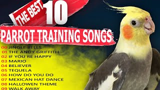 THE BEST 10 PARROT TRAINING SONGSCockatiel Singing TrainingBudgieBird [upl. by Sel]