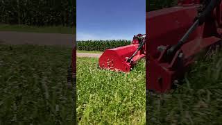 Offset Flail Mowers are Better TYM 2515 tymnorthamerica [upl. by Brittnee]