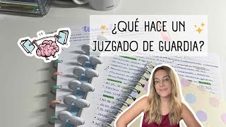 OPOTRUQUIS  ¿Qué hace un Juzgado en Guardia [upl. by Nimzay]