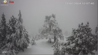 Live Troodos Mountains Live camera Cyprus  Feb 1st 2024 [upl. by Julide595]