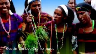 Qasim Simbo Best Official music 🎶2021 Song [upl. by Nymsaj]