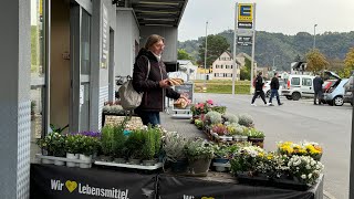 Op de fiets naar Piesport vanaf de CP in Wintrich [upl. by Assetak]