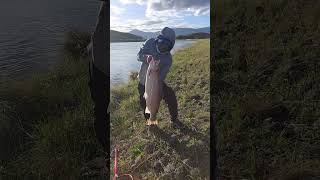 My Record Breaking Catch  Twizel Canal  Salmon Fishing [upl. by Neely]