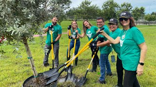 Planting trees for a brighter tomorrow [upl. by Cirilla]