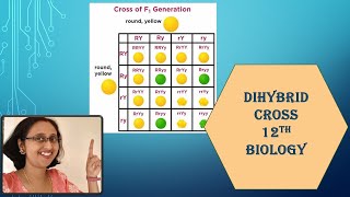 What is Dihybrid Cross NCERTLawsOfIndependentAssortmentGeneticsandEvolution12thBiology [upl. by Aleda]