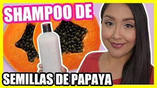 Cómo hacer SHAMPOO DE SEMILLAS DE PAPAYA  CABELLO MÁS LARGO  Nadia Elias [upl. by Leirbaj]