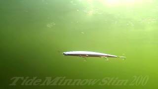 DUOs Lures in Motion 14 Tide Minnow Slim 200 [upl. by Kcirret310]