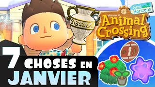 Que faire en JANVIER   Animal Crossing New Horizons [upl. by Eillom]