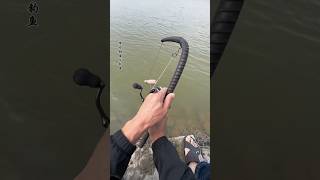 Did you see fishing rod made of rubber anywhere 🤔🤔🤔fishing2022fishing naturefishing fishingvideo [upl. by Walburga]