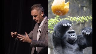 Jordan Peterson gorilla basketball experiment [upl. by Shayla311]