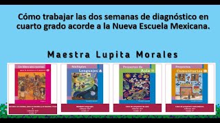 Cómo trabajar las dos semanas de diagnóstico en cuarto grado acorde a la Nueva Escuela Mexicana [upl. by Astra898]