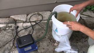 Brewing Compost Tea  Some Important Tips For Success [upl. by Eudora81]