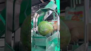 Easy Coconut Cutting for Machine  Fruits Cutting Skill [upl. by Ennirac]