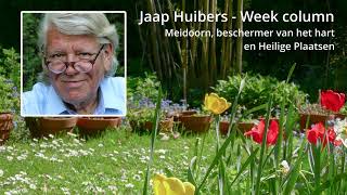 Jaap Huibers  Week column  Meidoorn beschermer van het hart en ‘heilige plaatsen’ [upl. by Enialed]