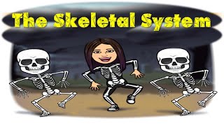 Skeletal System  Bones  Body Systems  Science  Skeletal  Teacher Beth Class TV [upl. by Idell]