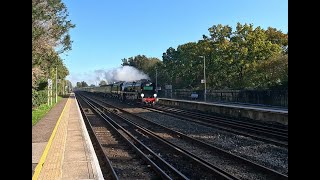 Merchant Navy Class no 35028 British Pullman passes Headcorn 24 October 2024 [upl. by Romo]