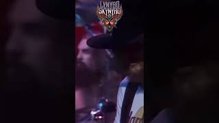 Lynyrd Skynyrd Epic and legendary live band [upl. by Isobel138]