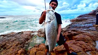 ROCK FISHING  BEACH CATCH AND COOK [upl. by Belldas]