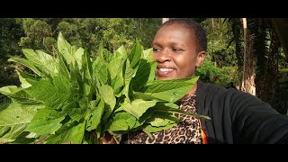 how to cook traditional foodAfrican village lifecookingvillage [upl. by Selassie292]