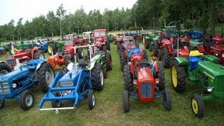 OTMV Westerwolde Toertocht start met geboorte kalfje [upl. by Carla486]