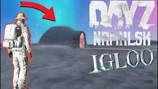 I Built An IGLOO  DayZ  Namalsk [upl. by Margaretta]