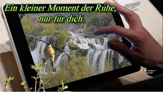 Ein kleiner Moment der Ruhe nur für dich 🌸 Liebe Grüße aus der Ferne [upl. by Jdavie]