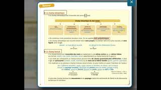 4e Séance 1  champ lexical et champ sémantique [upl. by Kate]