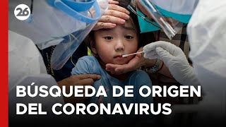 🦠 El coronavirus y la interminable búsqueda de su origen [upl. by Adev]