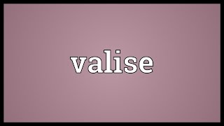 Valise Meaning [upl. by Dreeda]