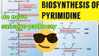 Pyrimidine Biosynthesis De novo amp Salvage pathway 😎😎 [upl. by Ebner51]