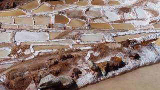 Salineras Salt Ponds at Maras in the Sacred Valley  Cusco Peru [upl. by Nrehtac701]