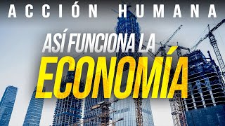 La Acción Humana  La Base de Toda Economía [upl. by Issiah376]