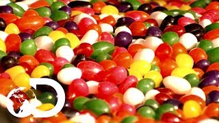 Jelly Beans  How Its Made [upl. by Nnylassej]