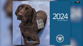 TSA releasing K9 calendar just in time for the holiday season [upl. by Odrude533]