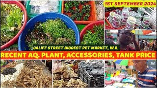 Recent Aquarium Plant amp Accessories Priceএককোয়ারিয়াম প্লান্ট প্রাইস Galiff Street Market010924 [upl. by Lledrac]