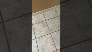 My grout is tan and clean I promise 😂 deepclean groutcleaning cleaning cleantok cleaningvideo [upl. by Moritz]