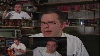 AVGN quotStupid fing beequot Sparta Paystyle Remix [upl. by Onairpic]