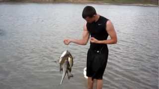 Catfishing On the Brazos River [upl. by Lletnom]