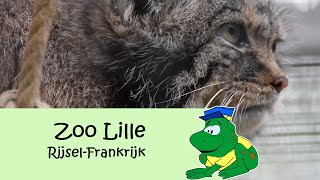 Zoo de Lille [upl. by Eikcim929]