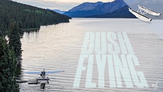 Bush Flying a Floatplane in the Spatsizi Plateau Wilderness Provincial Park incl Camp Tour [upl. by Rutra320]