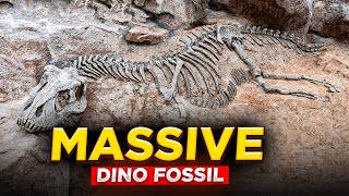 MASSIVE Dino Fossil Find  Unbelievable Discovery [upl. by Seleta781]