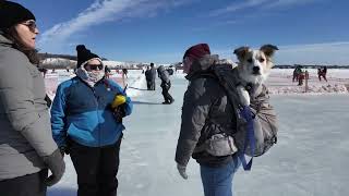 5th Annual Acadian Pond Hockey Tournament [upl. by Atrahc]