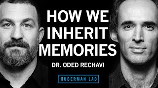 Dr Oded Rechavi Genes amp the Inheritance of Memories Across Generations  Huberman Lab Podcast [upl. by Penelopa]