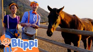 Blippi amp Meekah at the Ranch  Kids Cartoons  Party Playtime [upl. by Nyrehtak88]