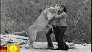 Christian the Lion  John Rendall and Ace Bourke Interview [upl. by Yetac657]