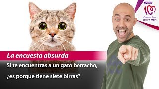 ¿Cuántas vidas tiene un gato  La encuesta absurda de CADENA 100 [upl. by Isador]