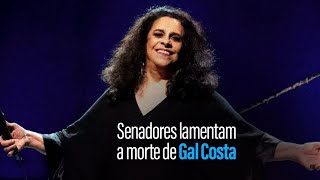 Senadores repercutem morte de Gal Costa aos 77 anos em São Paulo [upl. by Tab698]