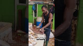 Chef Jason In Guyana 🇬🇾  Fish Ninjas in The Market [upl. by Ainav]