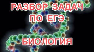 Количество хромосом при синдроме Дауна Кариотип человека с синдромом Дауна [upl. by Netnerb]